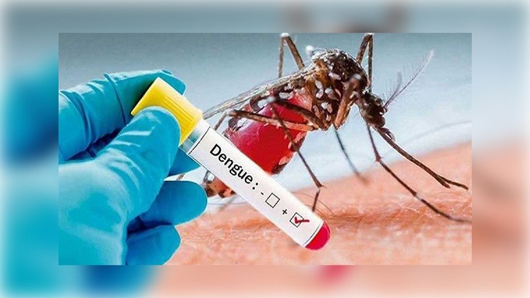 ডেঙ্গুতে আরও ৬ জনের মৃত্যু