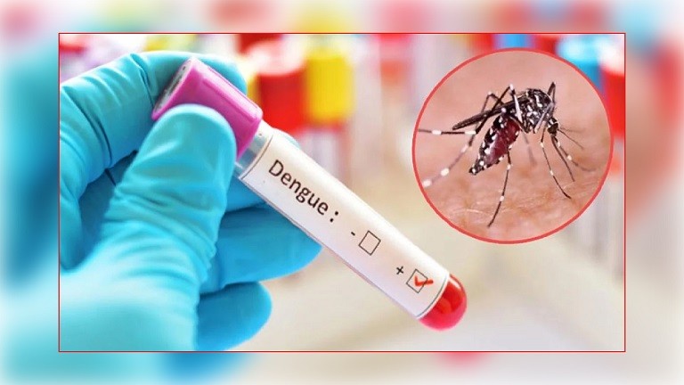 ডেঙ্গুতে ২৪ ঘণ্টায় আরও ৭ জনের মৃত্যু