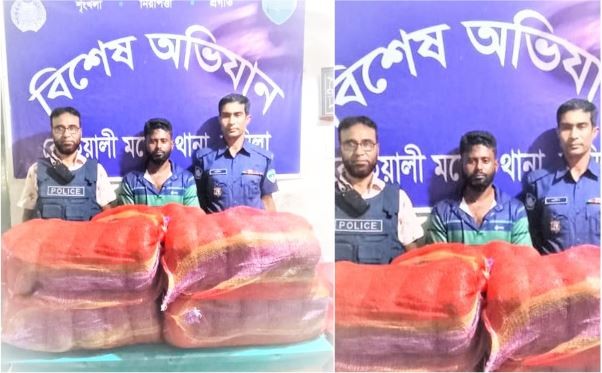 কুমিল্লায় ৮২ কেজি গাঁজাসহ গ্রেফতার ১