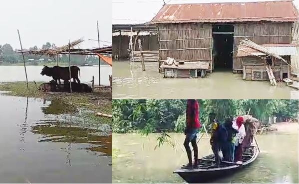 কুড়িগ্রামে ৪০ হাজার মানুষ পানিবন্দি